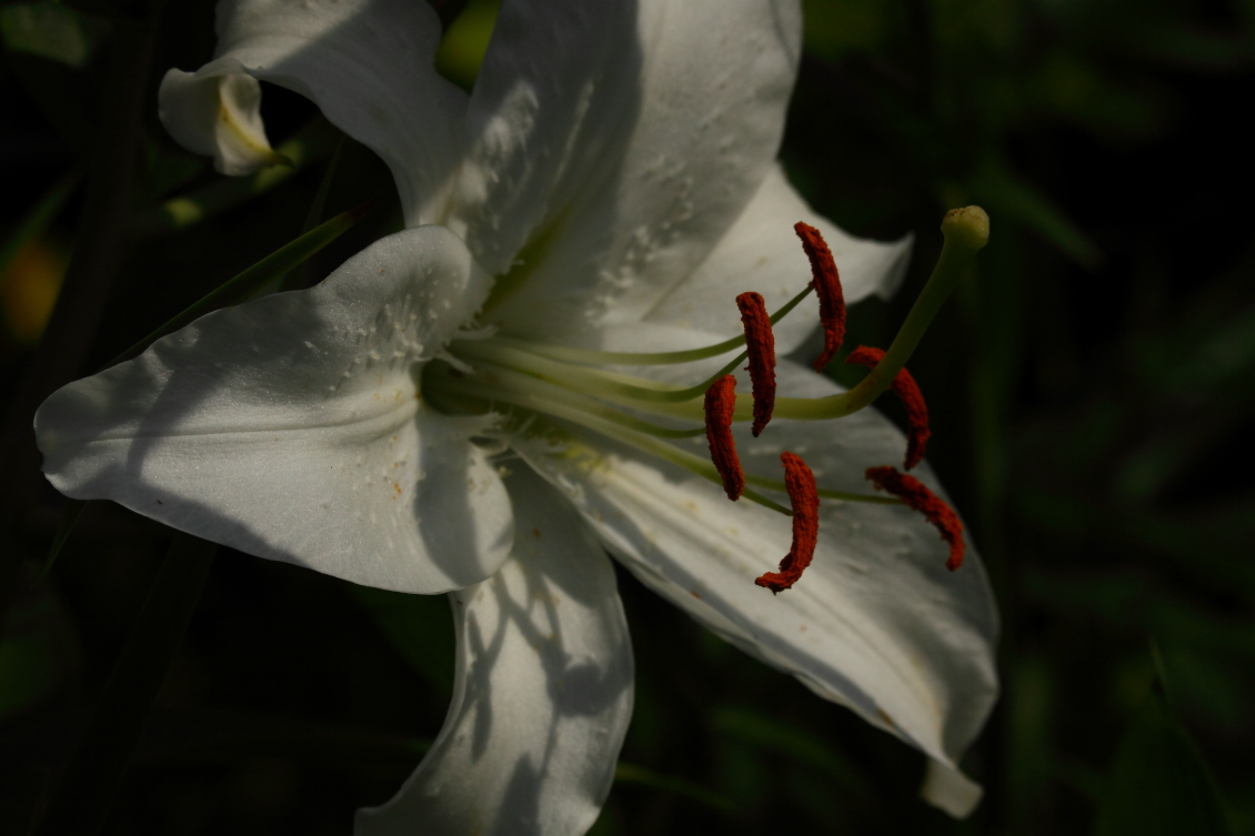 2013 08 02 HTP 00725