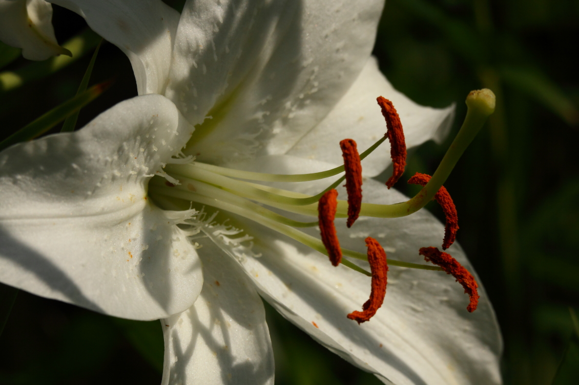 2013 08 02 HTP 00727