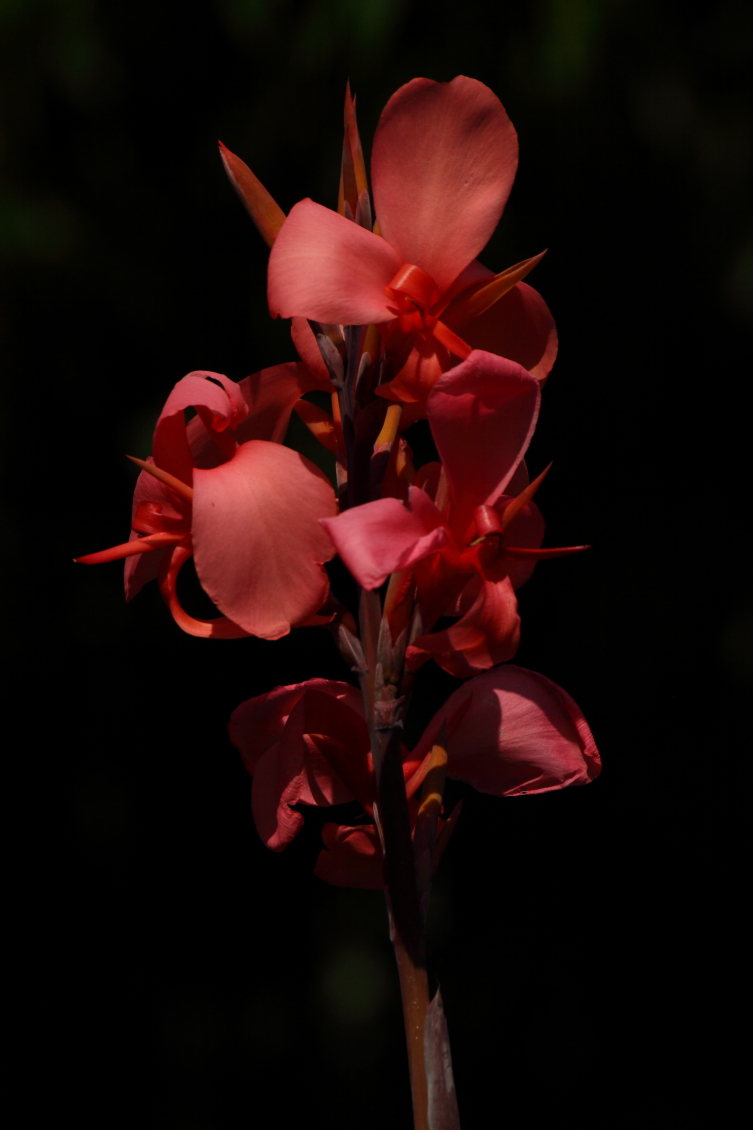 2013 08 02 HTP 00733