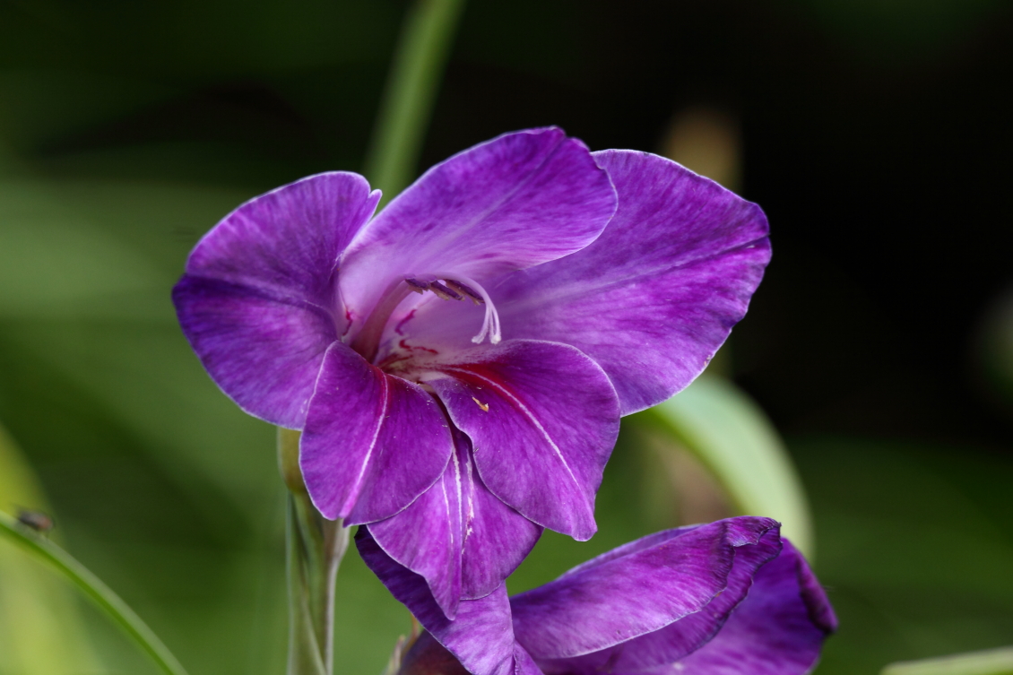 2013 08 02 HTP 00741