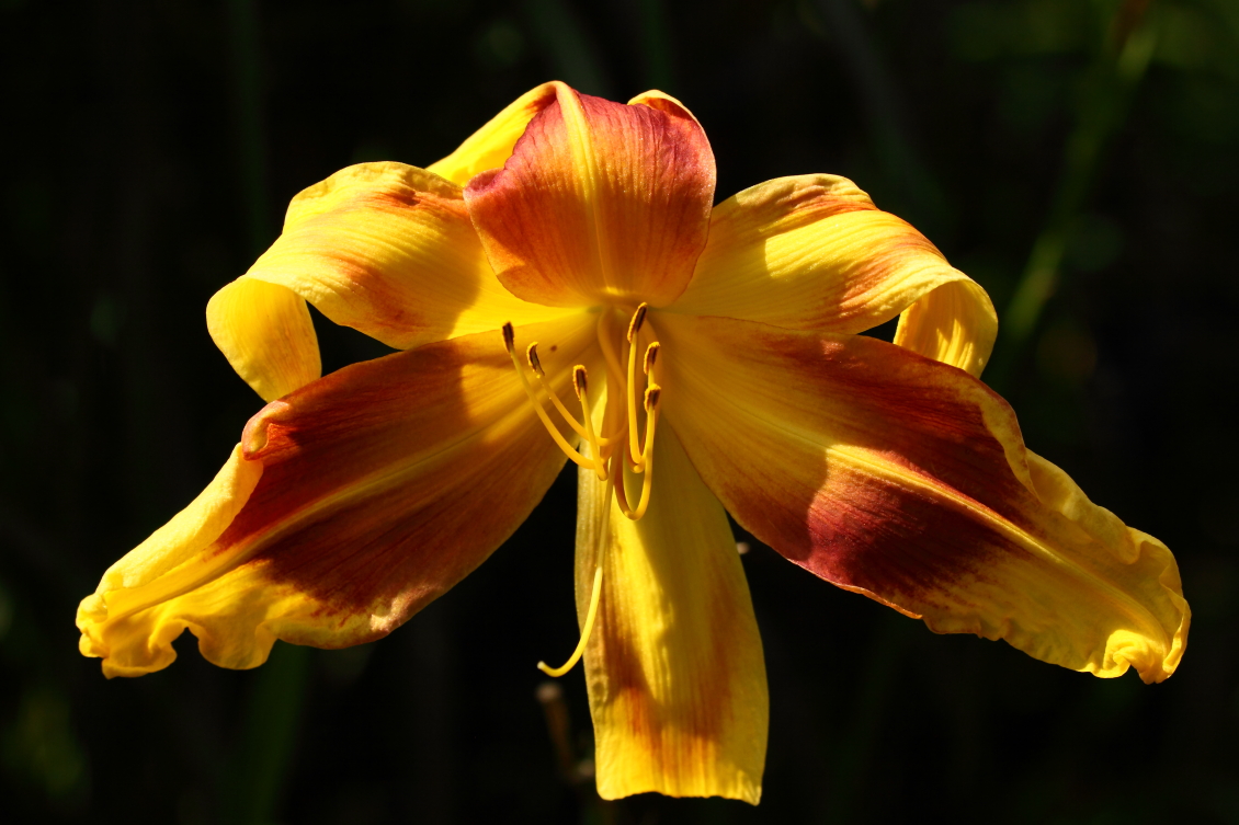2013 08 02 HTP 00758