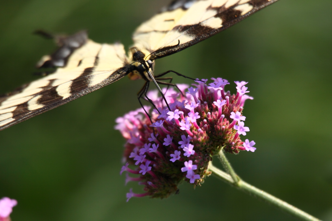 2013 08 02 HTP 00803