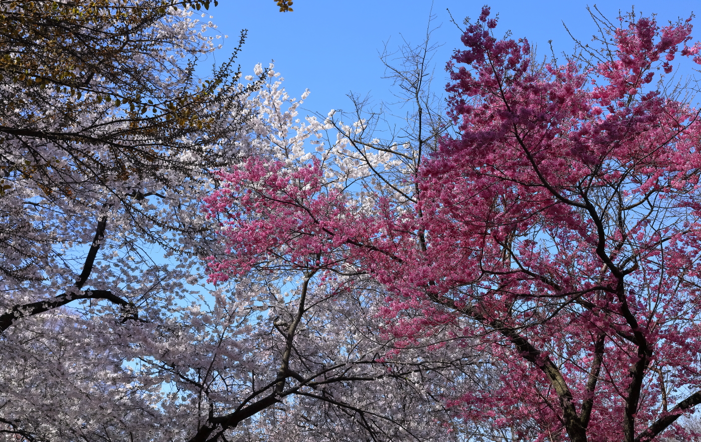 2018 04 22 HTP 73305e