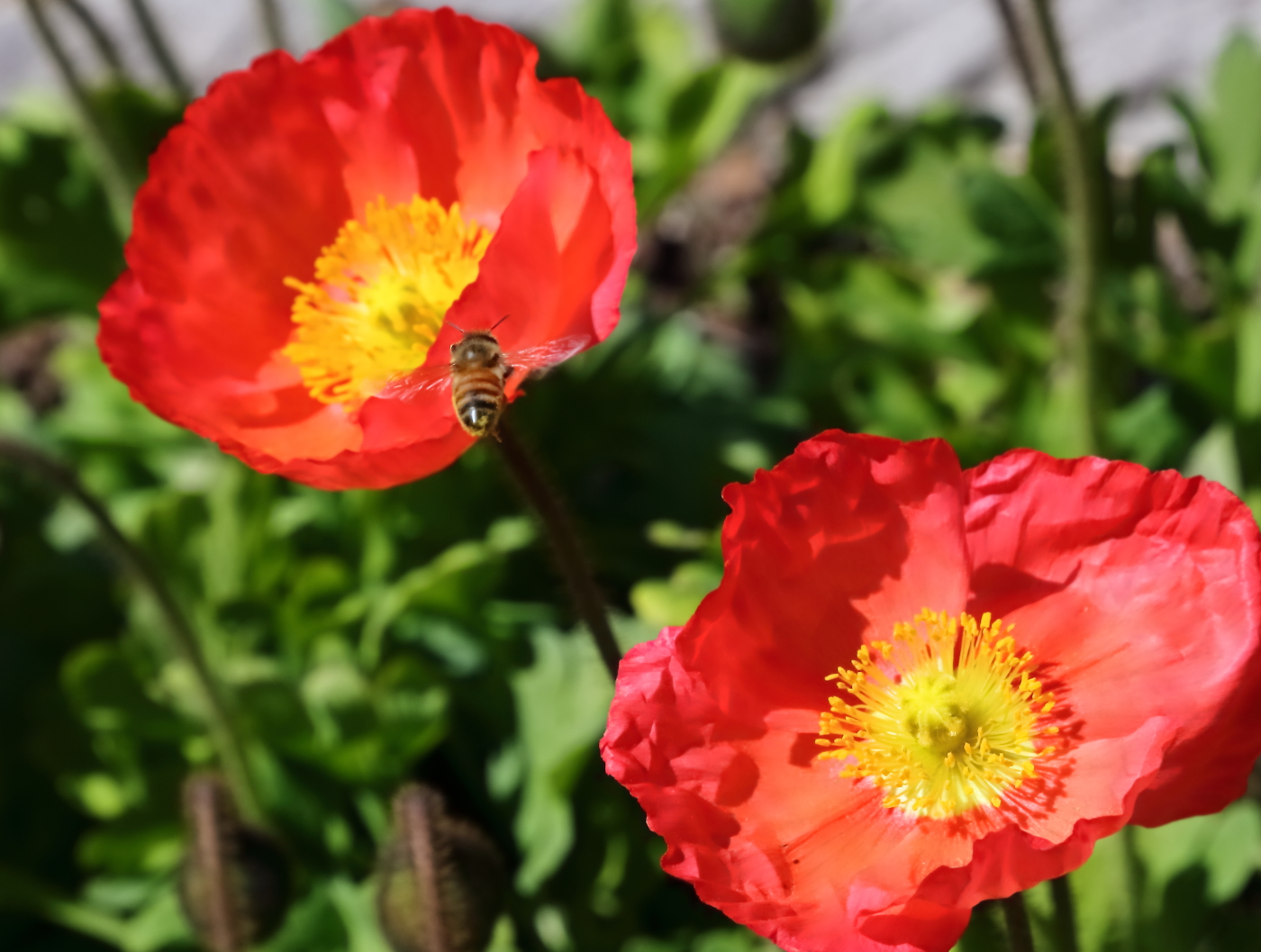 2018 04 22 HTP 73671e