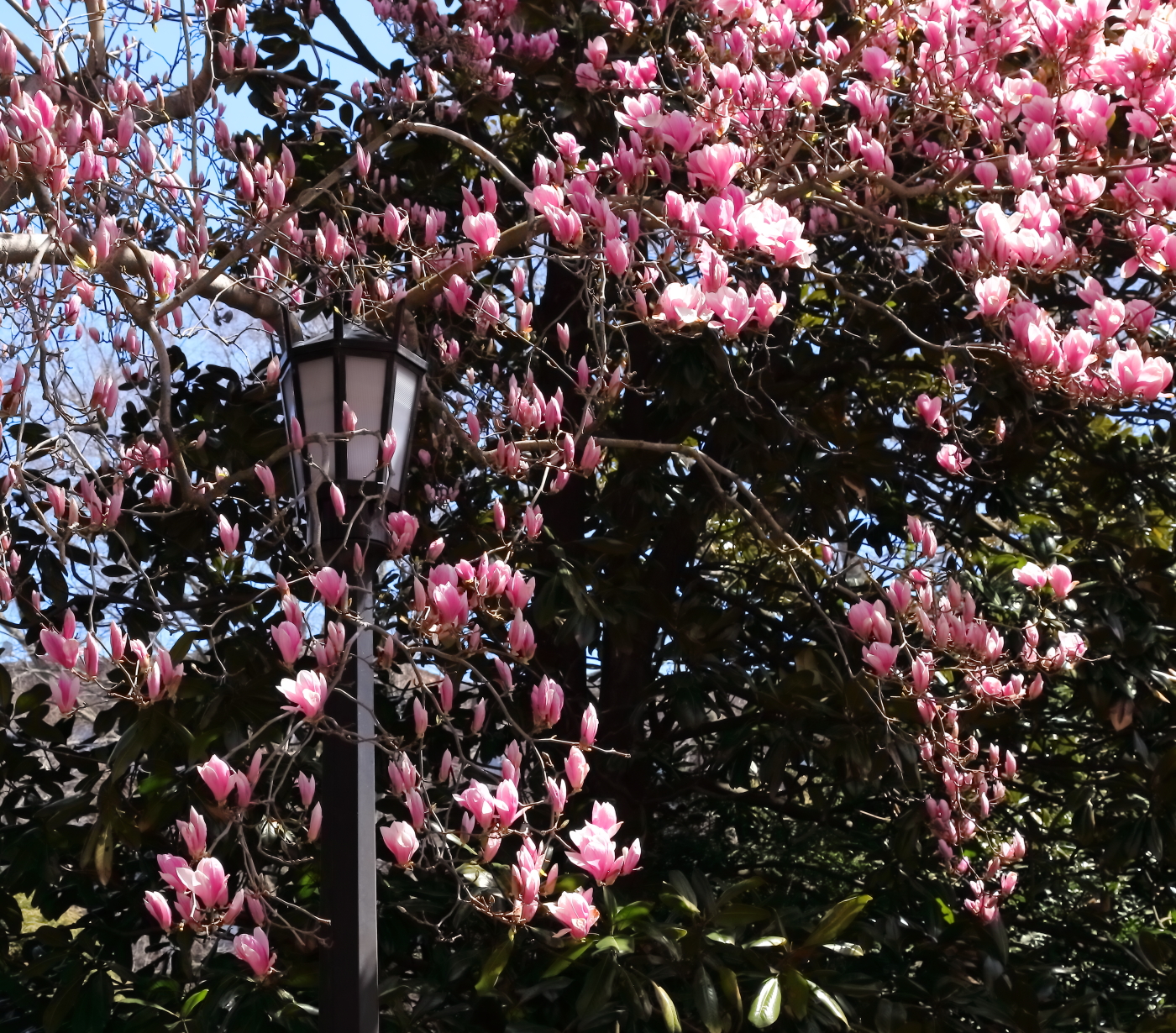 2018 04 22 HTP 73937e