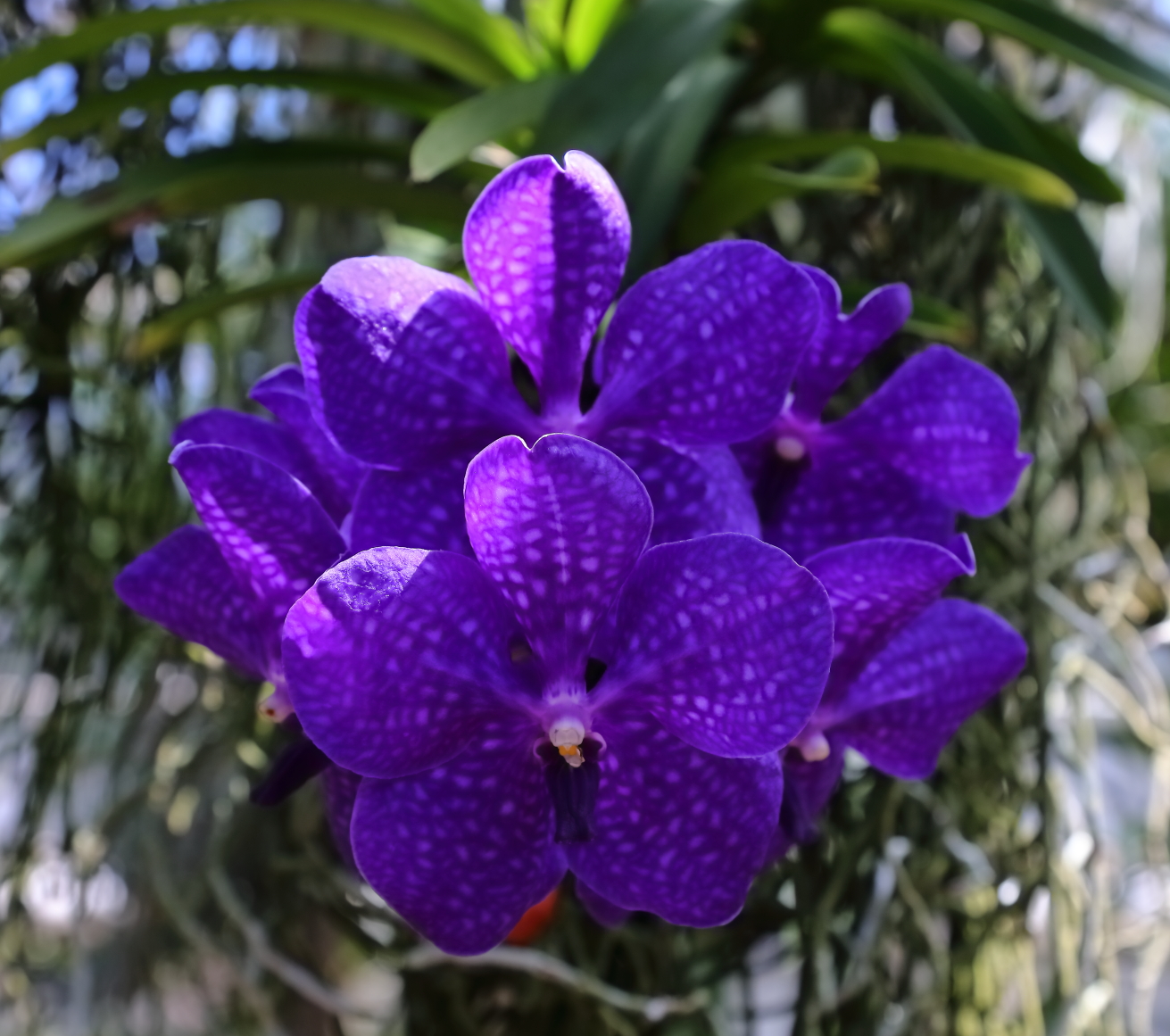 2018 04 22 HTP 74383e
