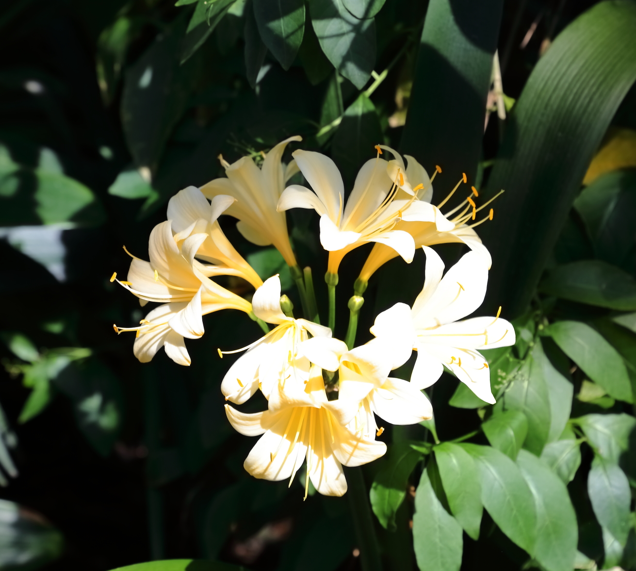 2018 04 22 HTP 74496e