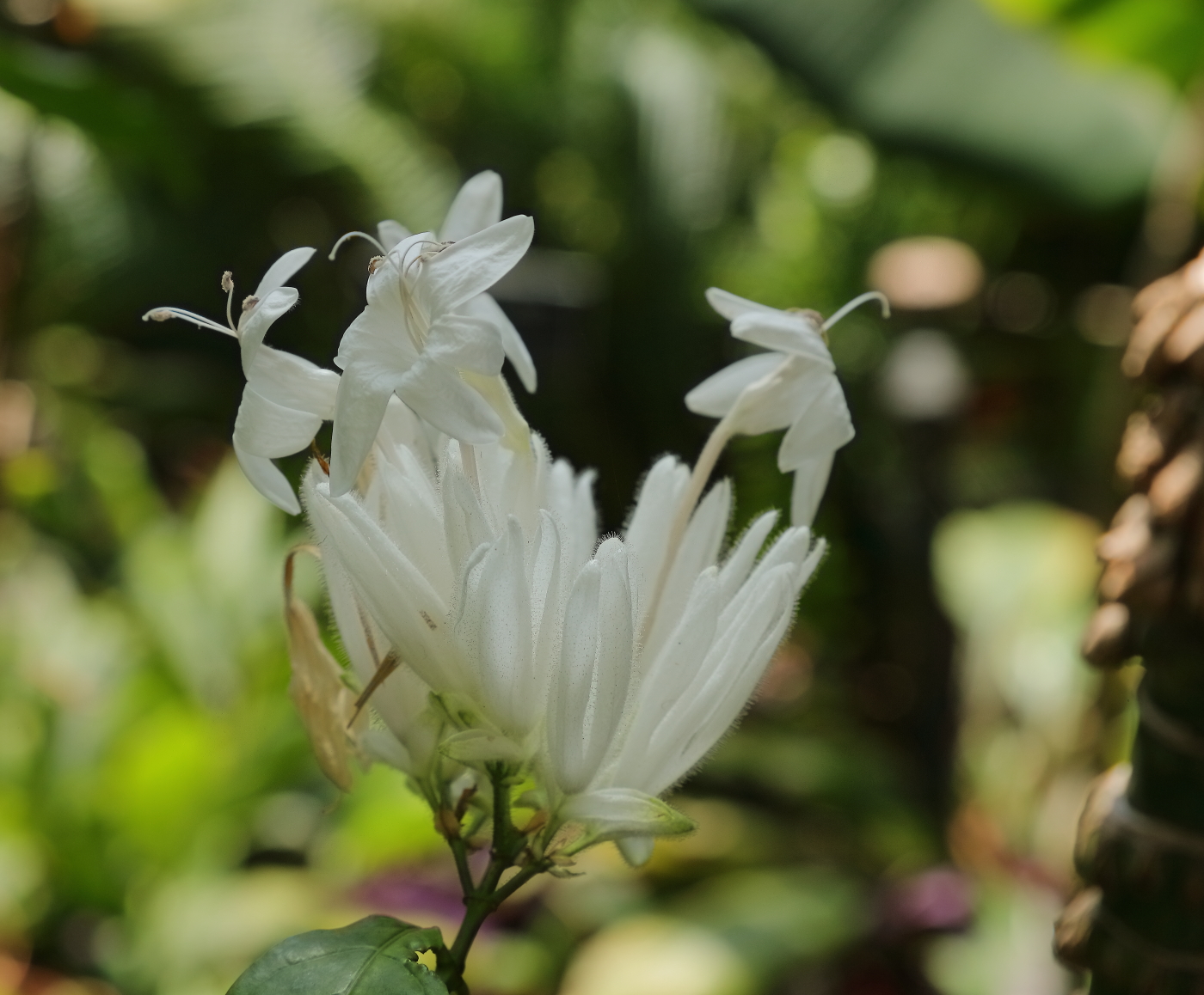 2018 04 22 HTP 74636e