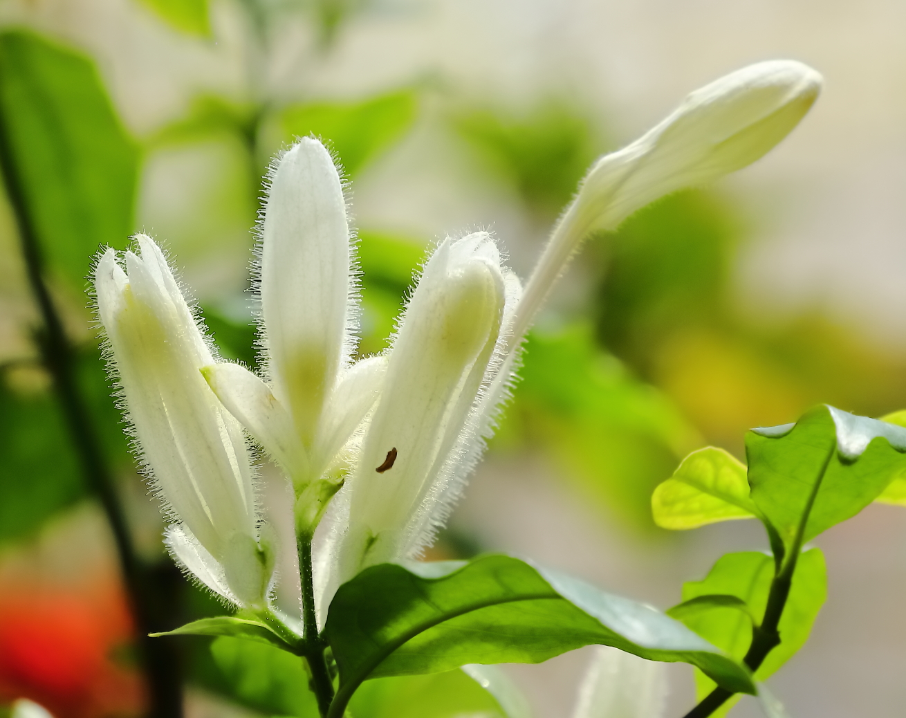 2018 04 22 HTP 74638