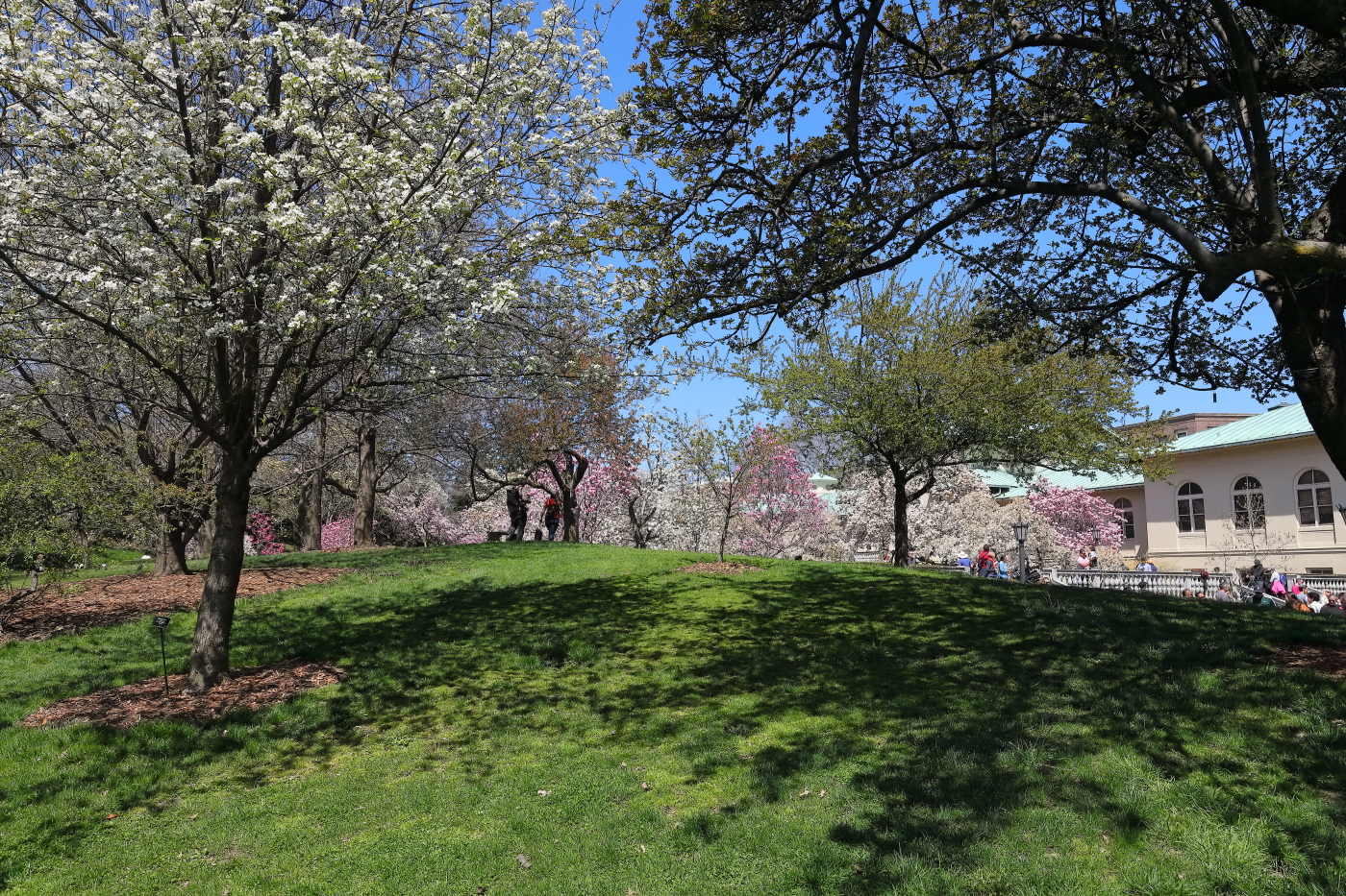 2018 04 22 HTP 74863e