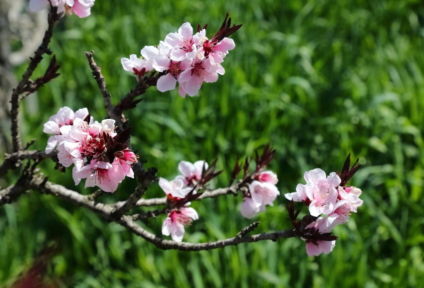 2018 04 22 HTP 74969e