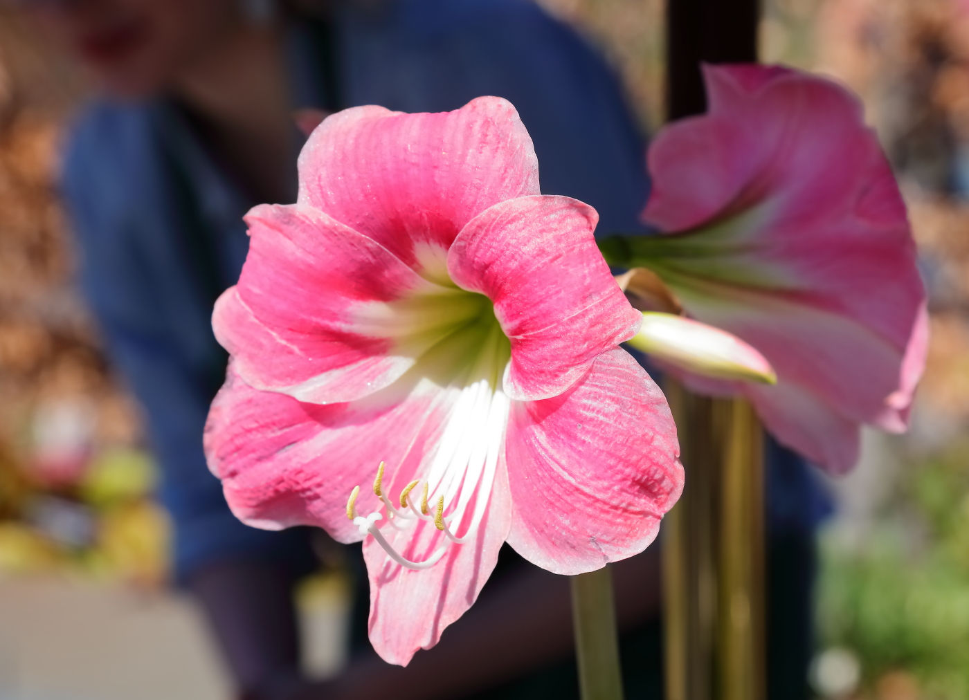 2018 04 22 HTP 75015e