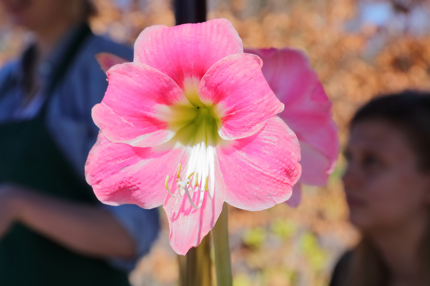 2018 04 22 HTP 75020e