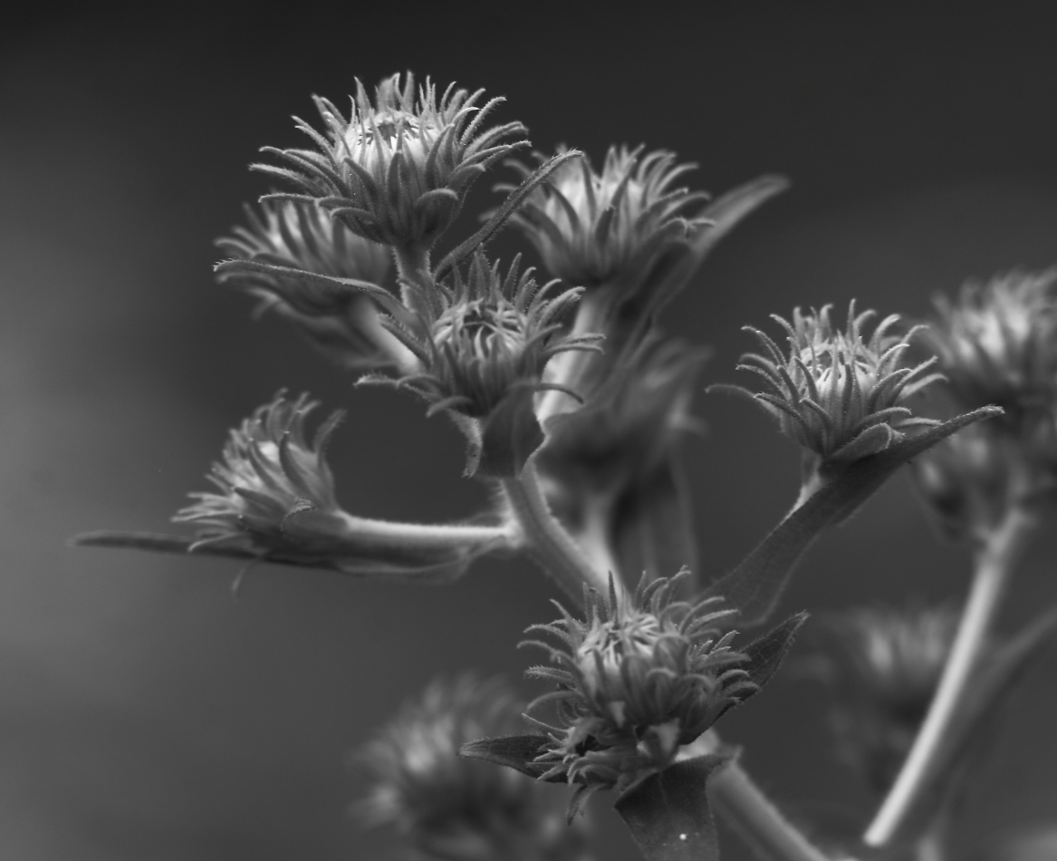 2014 09 08 HTP 85712a
