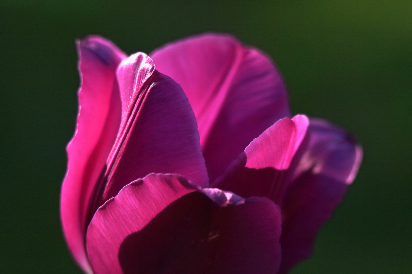 2015 05 10 HTP 000051721b