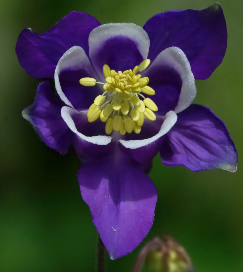 2015 05 17 HTP 000055578b