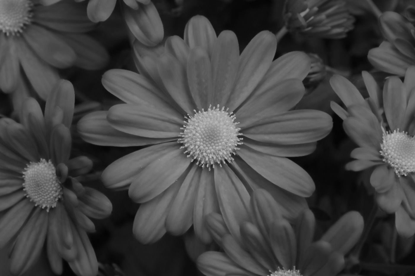 2018 10 28 HTP 08827a