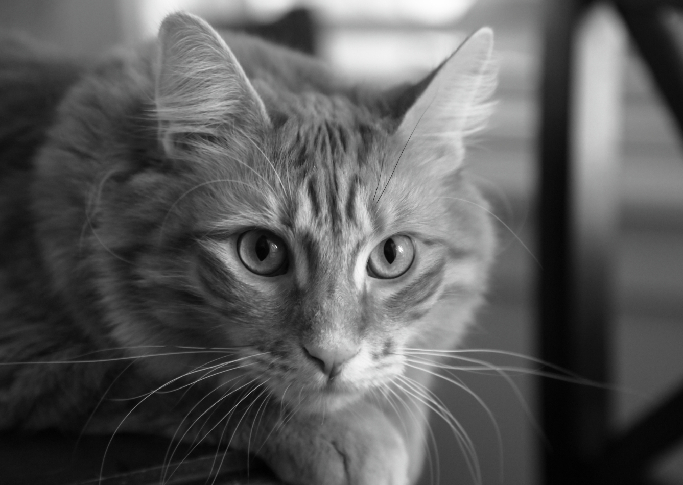 2019 05 29 HTP 90019bw