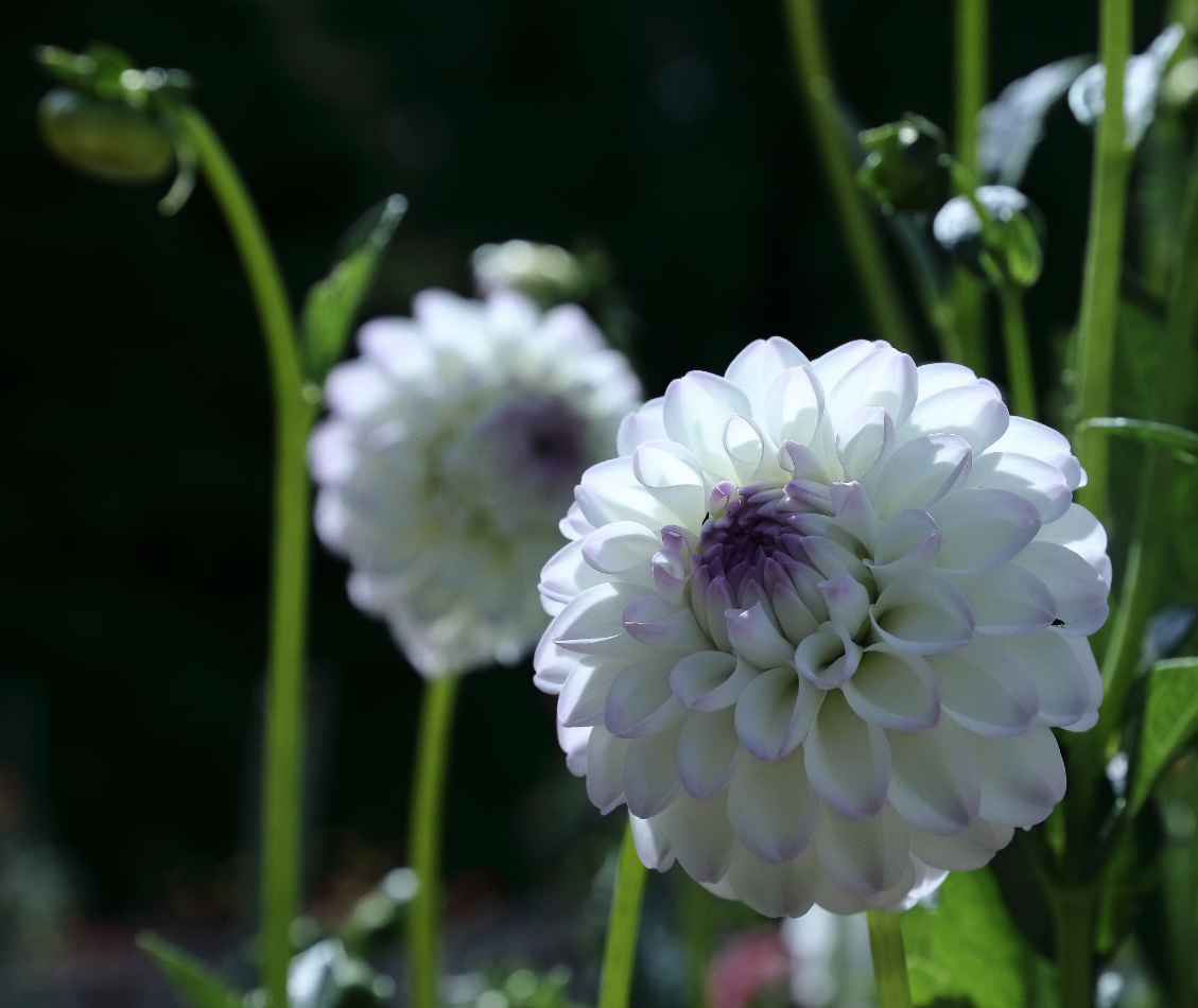 2019 09 24 HTP 90798b