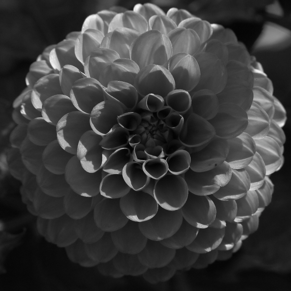 2020 09 07 HTP 90497a