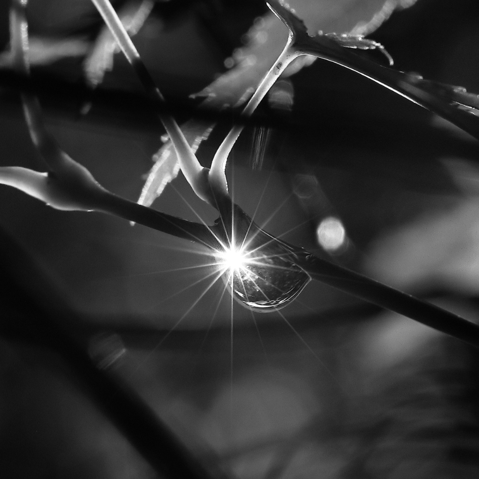 2020 10 14 HTP 90444a