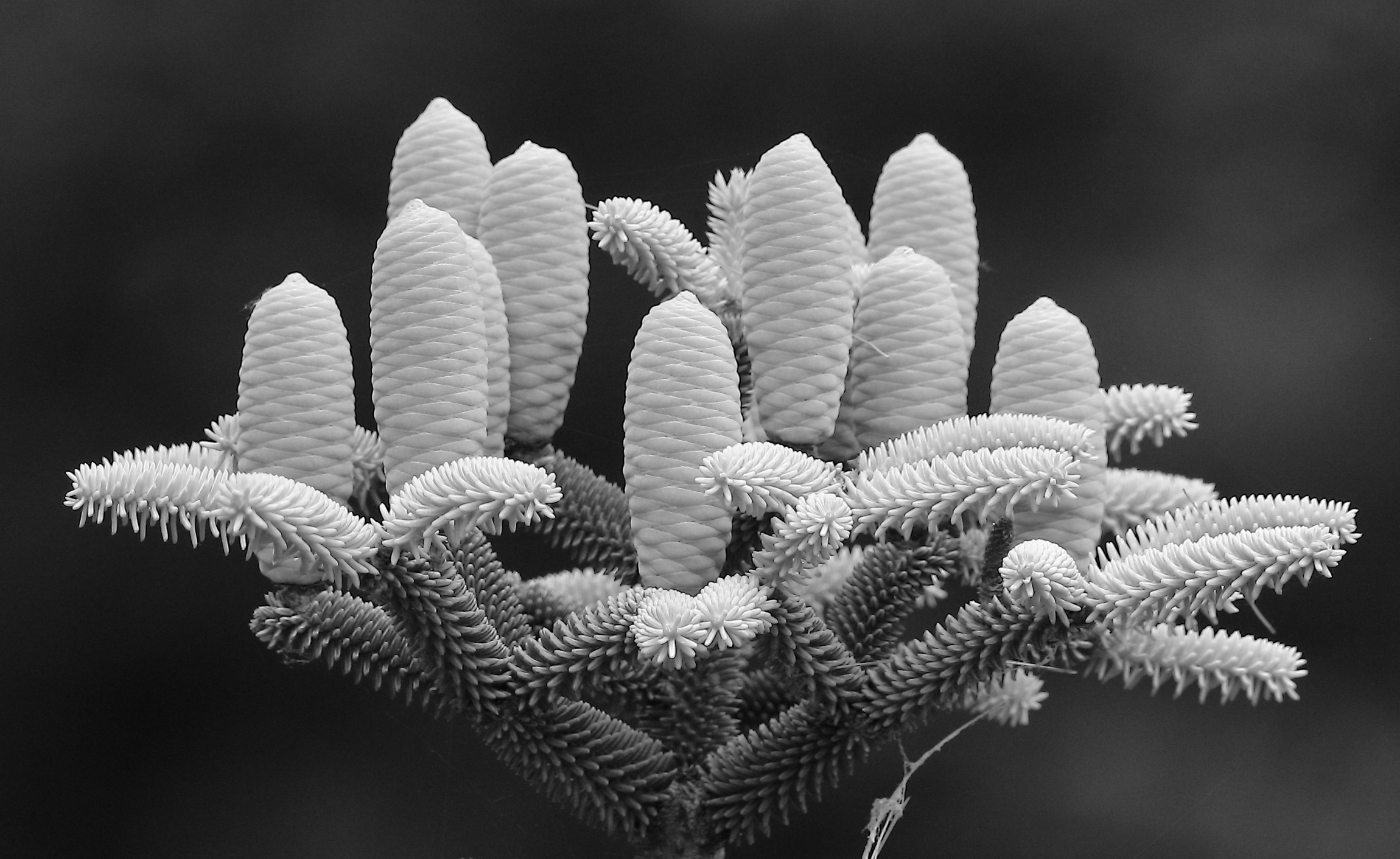 2021 06 13 HTP 50049aebw