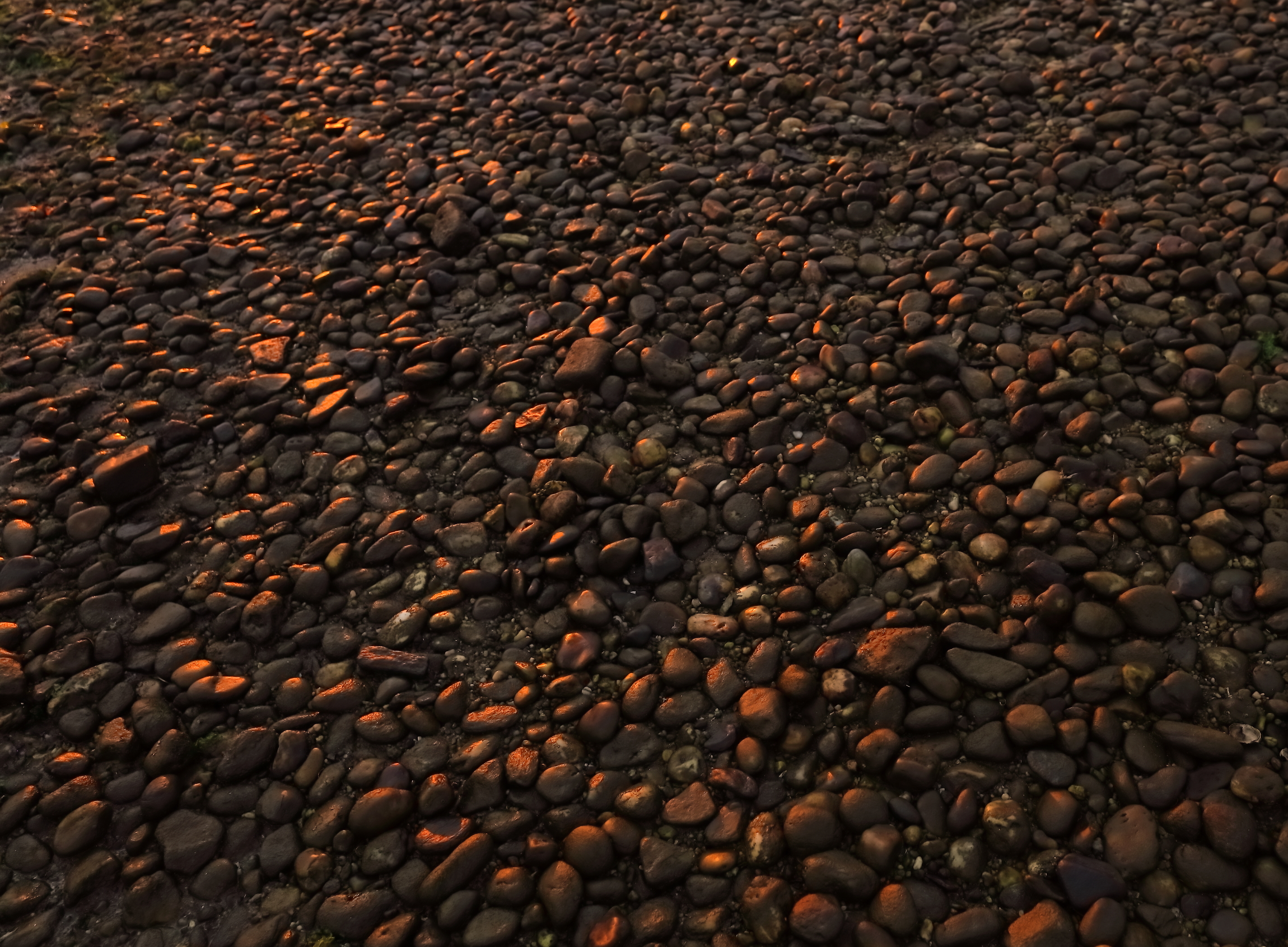 2021 09 08 HTP 51240b