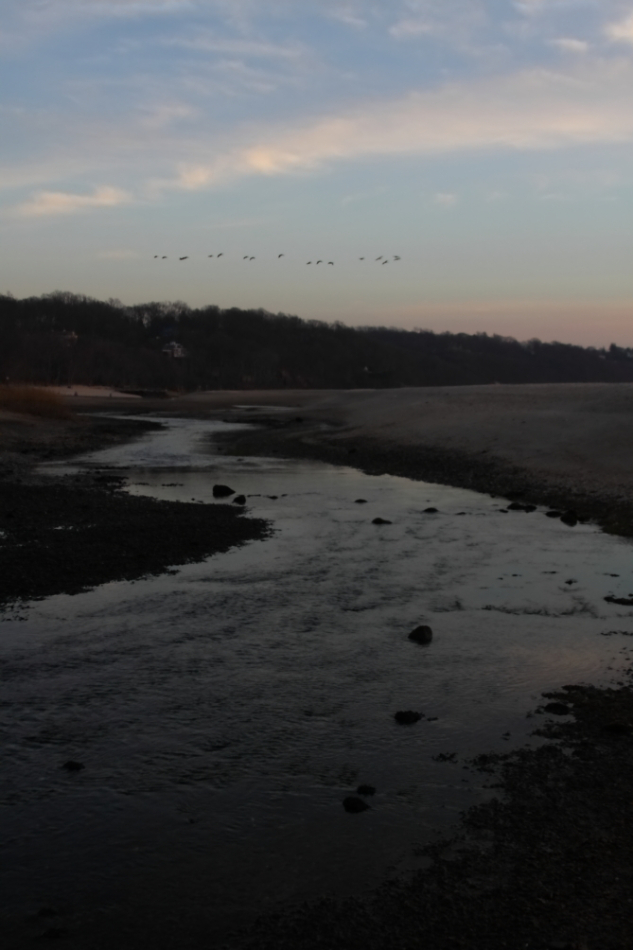 2013 01 08 IMG 0950