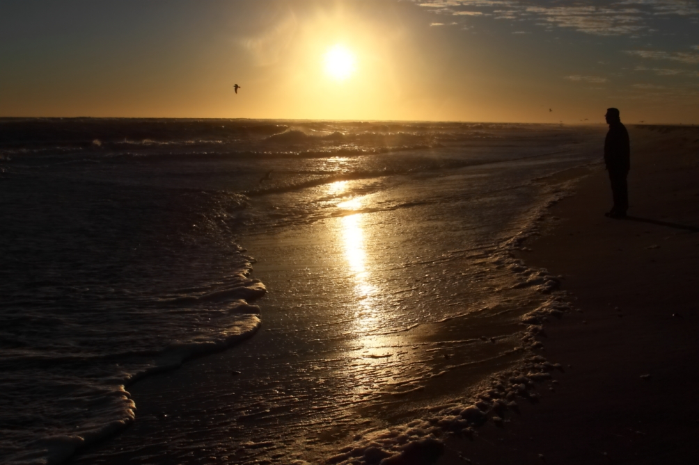 2013 01 19 IMG 1786