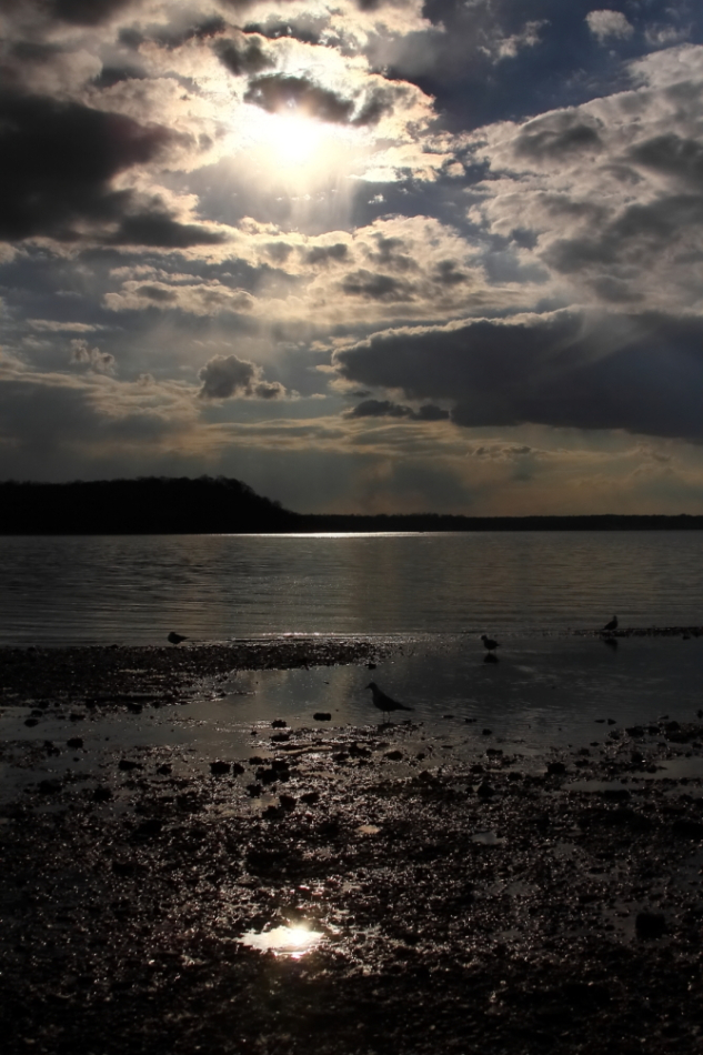 2013 03 13 IMG 9790e