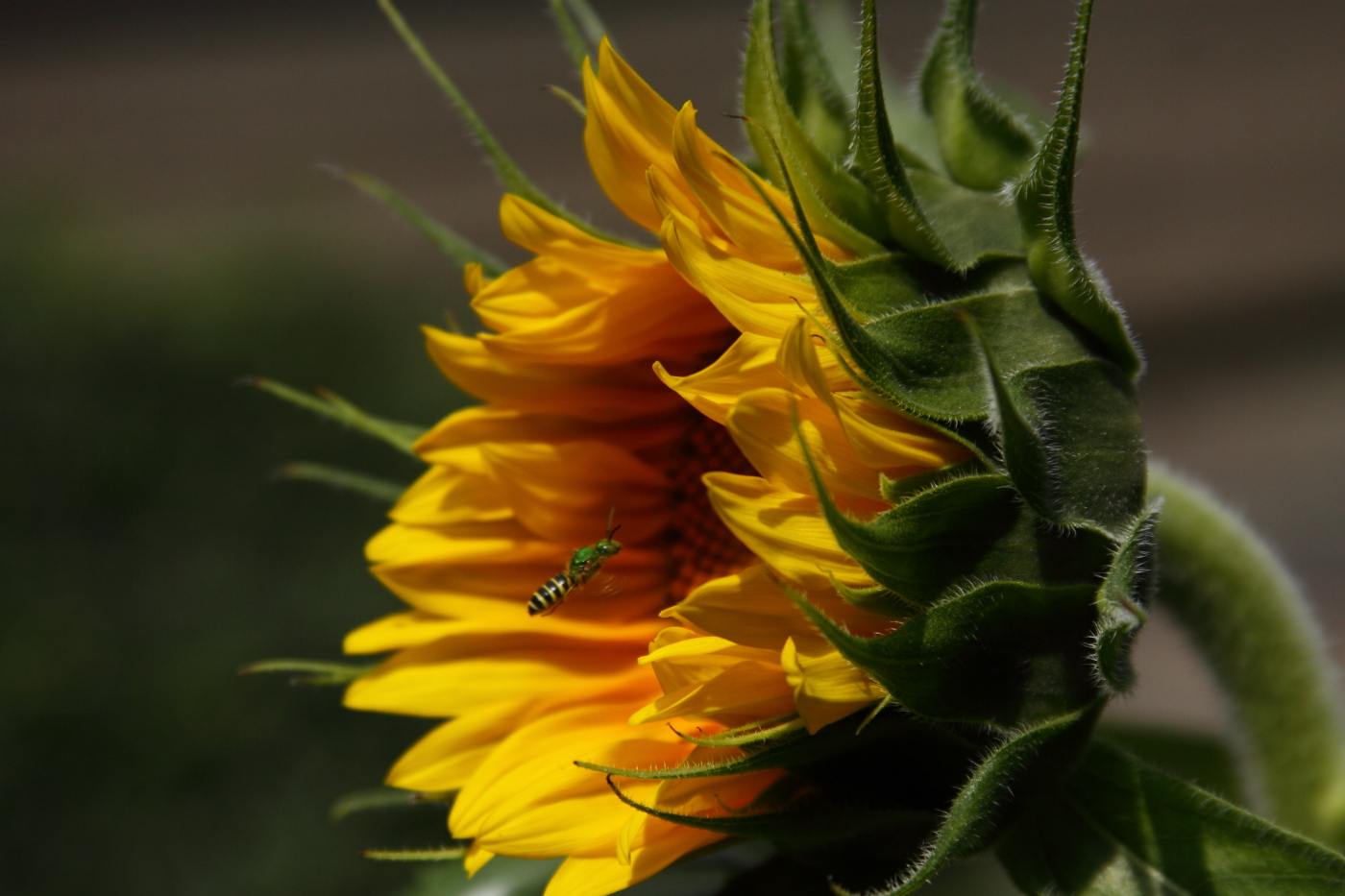 2011 08 21 IMG 36054