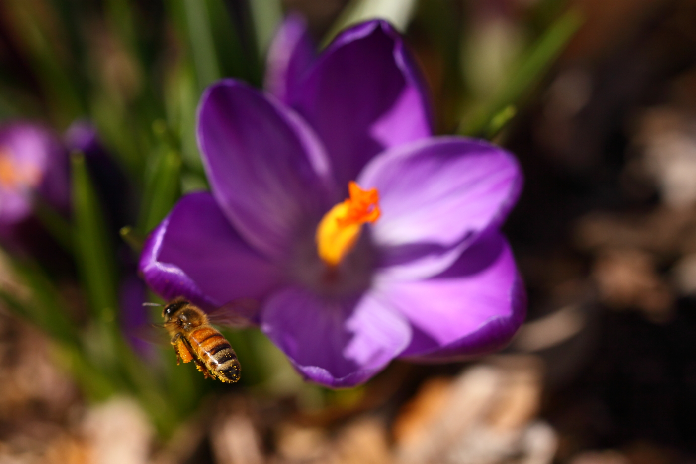 2012 03 12 9930