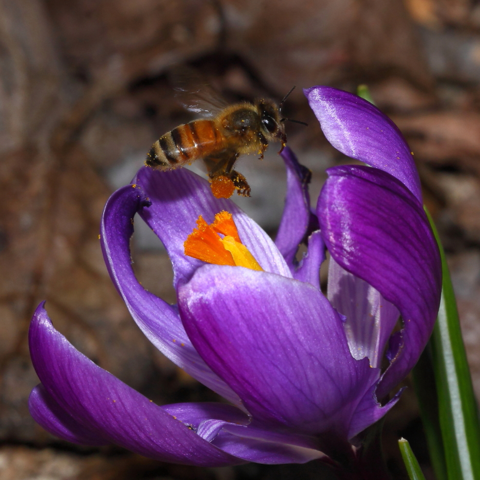 2012 03 12 9943e