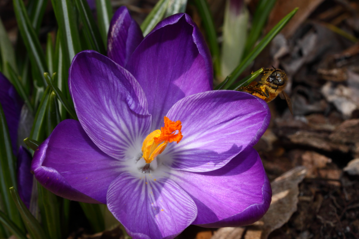 2012 03 12 9947