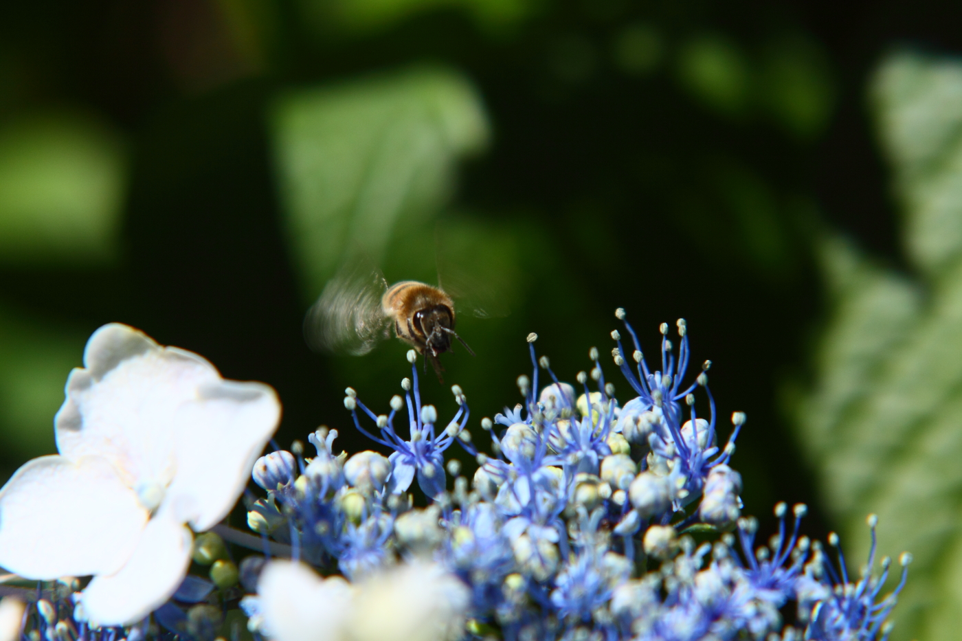 2012 06 27 6930