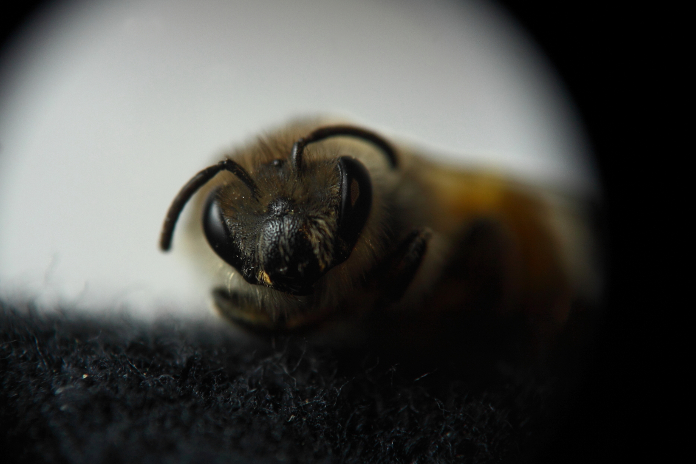 2013 04 15 IMG 03206e