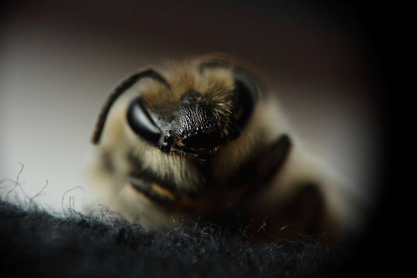 2013 04 15 IMG 03208e