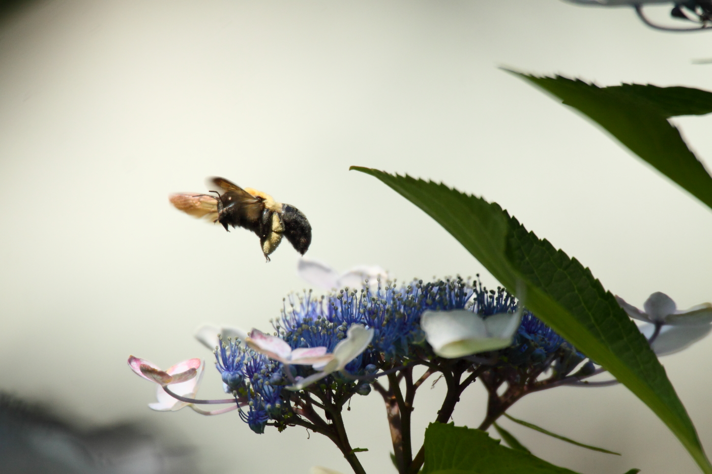 2013 07 15 IMG 13723