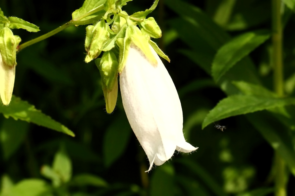 2014 06 20 HTP 63897e