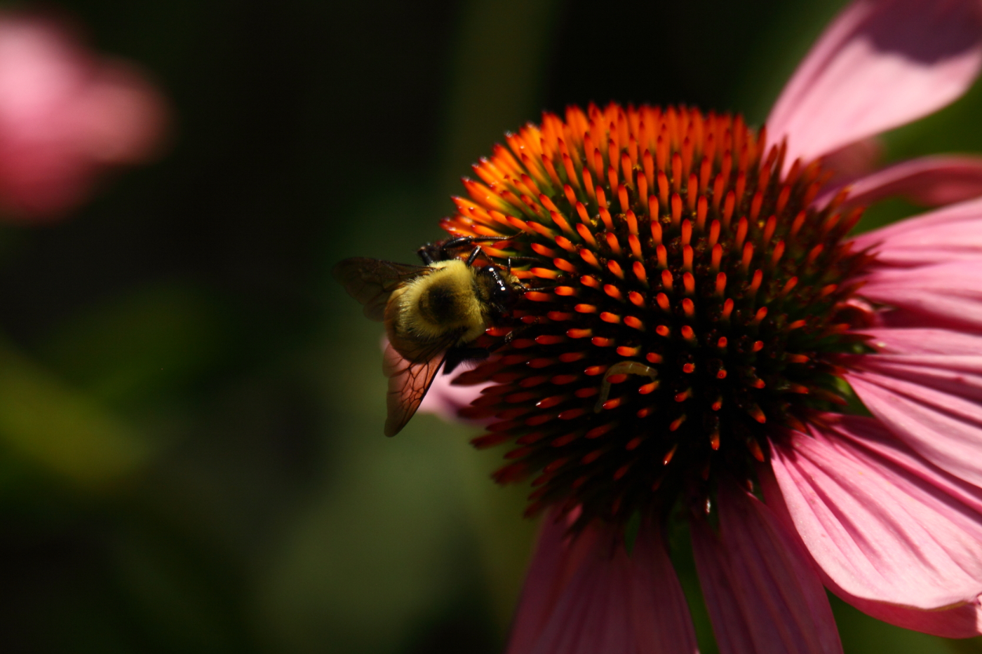 2014 07 06 HTP 69826