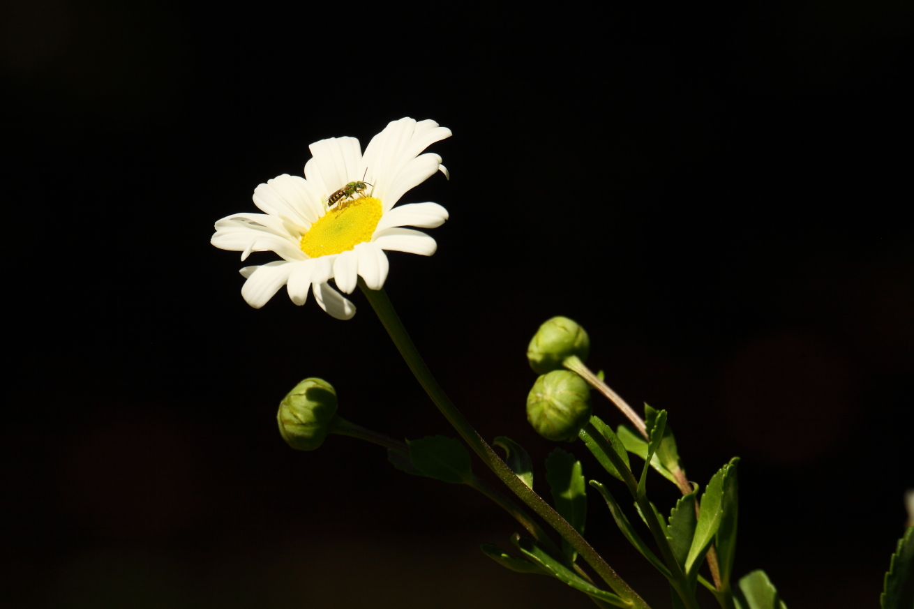 2014 09 22 HTP 88621