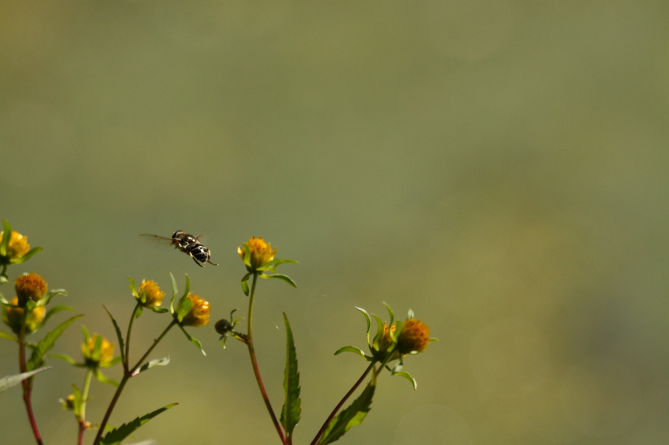 2014 09 23 HTP 88717