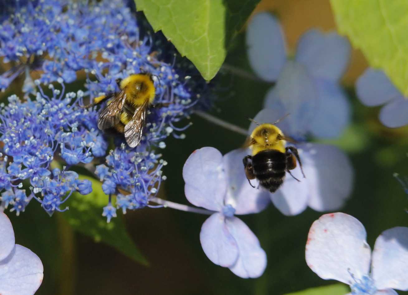 2015 07 06 HTP 0007