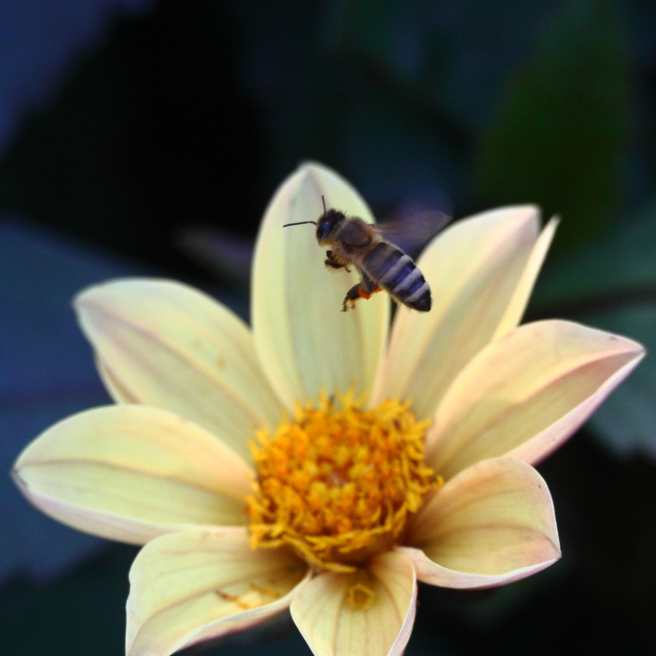 2015 07 20 HTP 000071592e