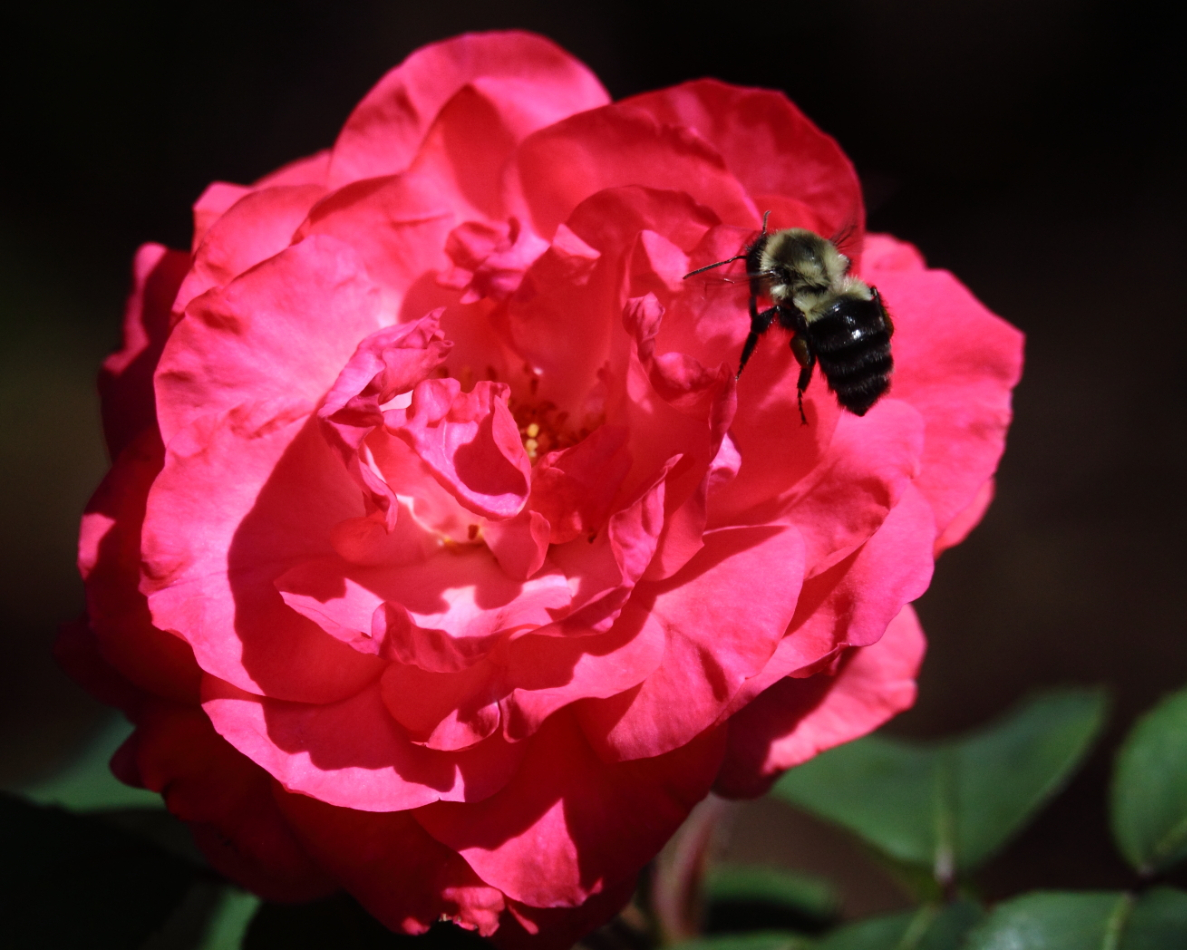 2015 07 22 HTP 000073078e