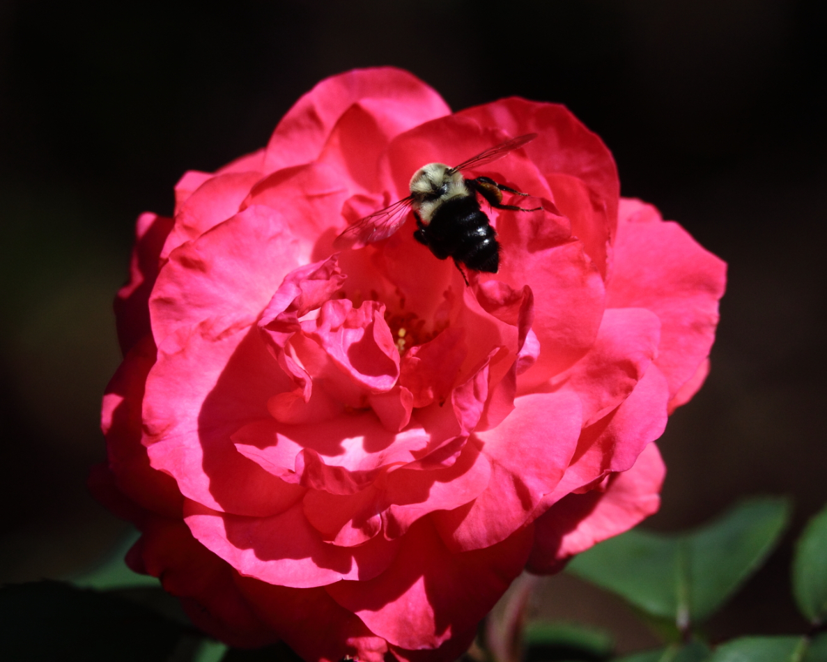 2015 07 22 HTP 000073079e