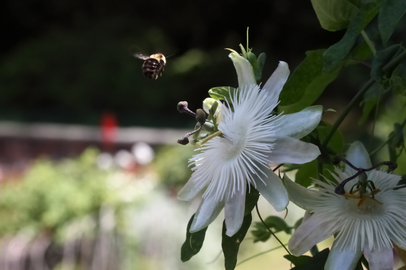 2015 08 12 HTP 2602