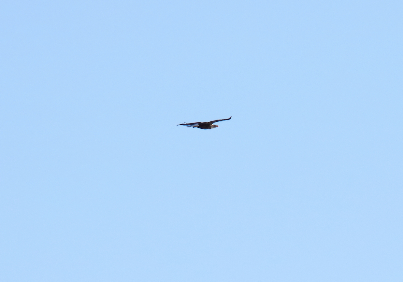 2017 11 10 HTP 79824