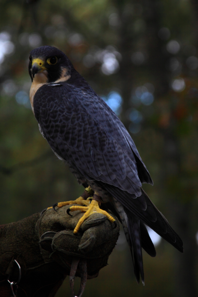 2010 10 16 IMG 12501