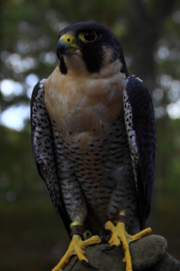 2010 10 16 IMG 12504